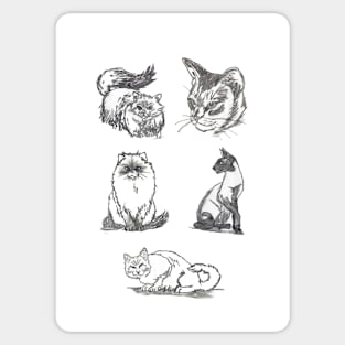 Cats greeting card by Nicole Janes Sticker